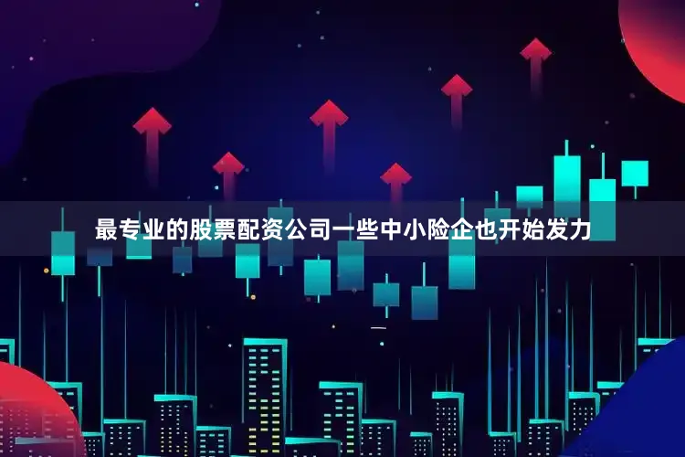 最专业的股票配资公司一些中小险企也开始发力